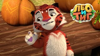 видео: Лео и Тиг - 🍂 Осень в тайге 🍂 - Сборник мультфильмов картинка: Лео и Тиг - 🍂 Осень в тайге 🍂 - Сборник мультфильмов