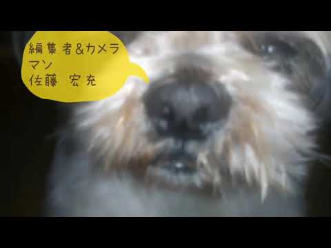 ひろみつチャンネル20170930 木崎ゆりあちゃんの卒業メッセージ