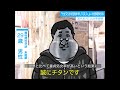 はがねタイプのバキ童