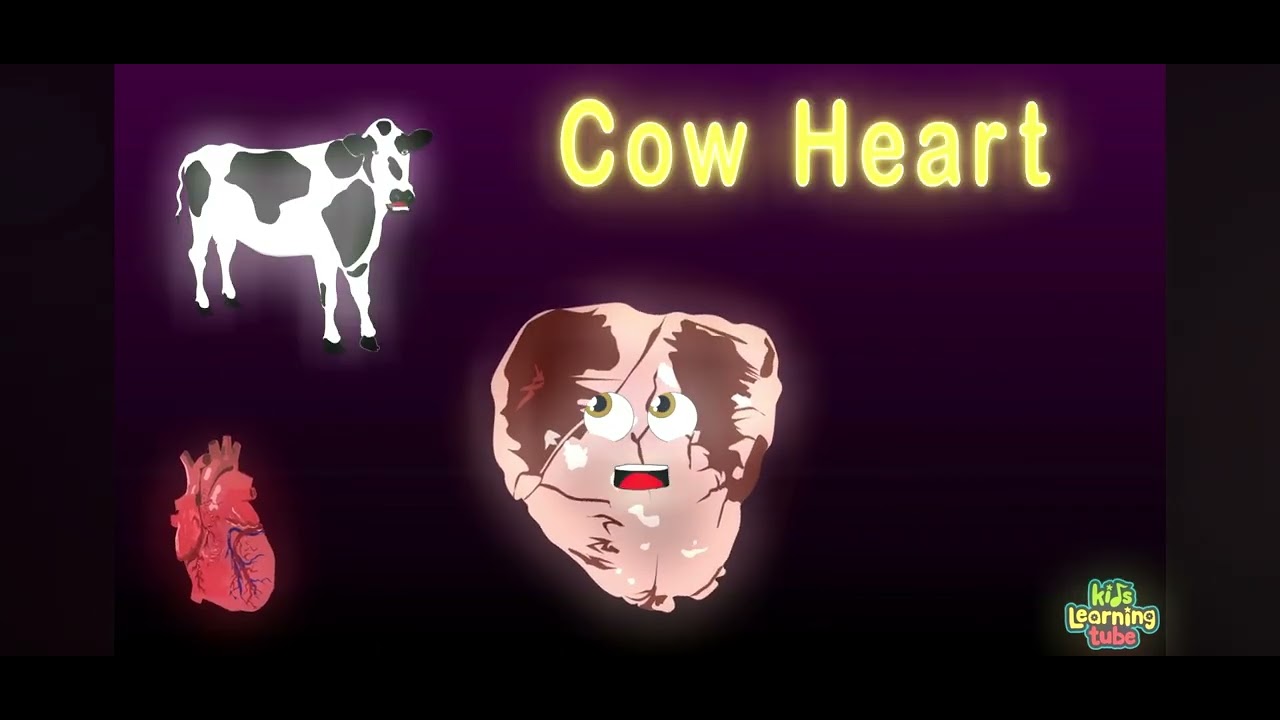 Heart comparison theme song (sorry for the glitches lol)