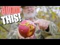 I should have done THIS to my Fruit Trees Years Ago!