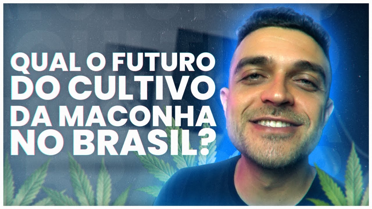 Qual o futuro do cultivo da cannabis no Brasil?