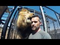 It's MOVING Day! - Part 1 | The Lion Whisperer