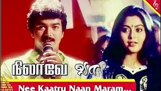 Nee Kaatru Naan Maram  Nilavee Vaa  Vidyasagar  Vocal Only