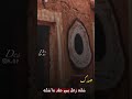 مرتضى حرب صدك شلنه زعل بس حقد ماشلنه حالات واتساب ستوريات انستا 