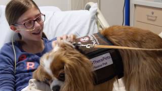 Pet Pals: Team Gus at Carilion Children's