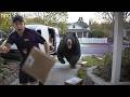 Delivery Drivers vs Animals | When Things Go Wrong