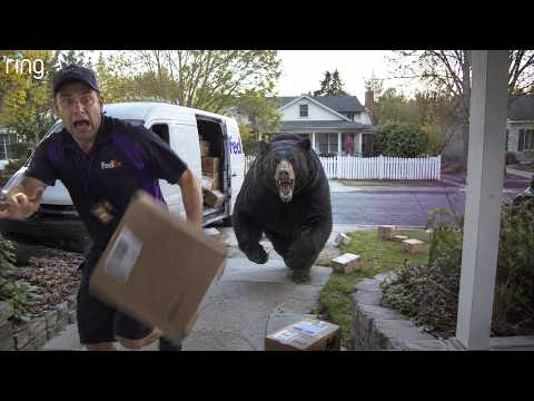 Delivery Drivers vs Animals | When Things Go Wrong