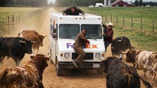 Celebrity Delivery Drivers vs Animals | When Things Go Wrong Profile
