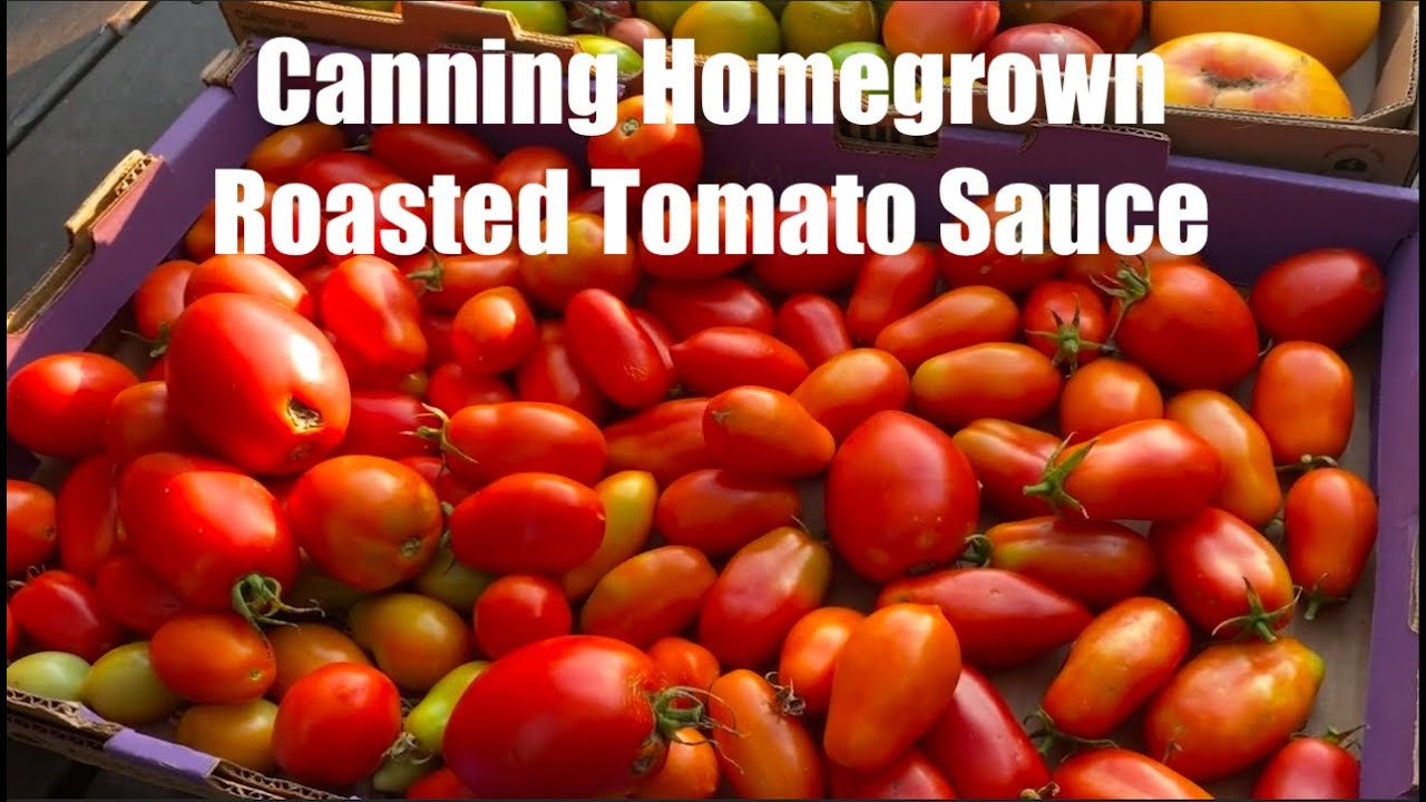 Canning Roasted Tomato Sauce with garden tomatoes YouTube