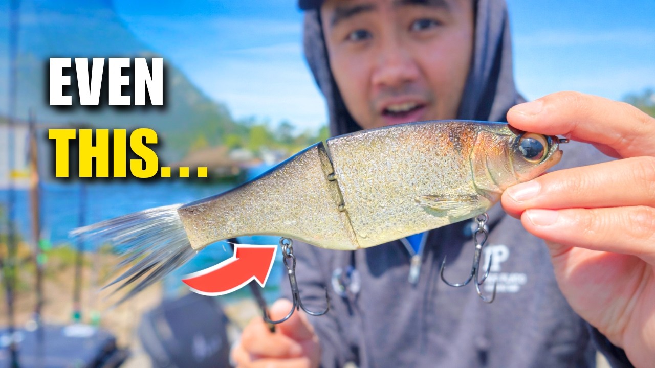 Fishing Lake Berryessa With EVERYTHING… Glide Bait, Drop Shot, Topwater (What Worked?)