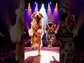Best Synchronized Dog and Cat Duo Dance Performance