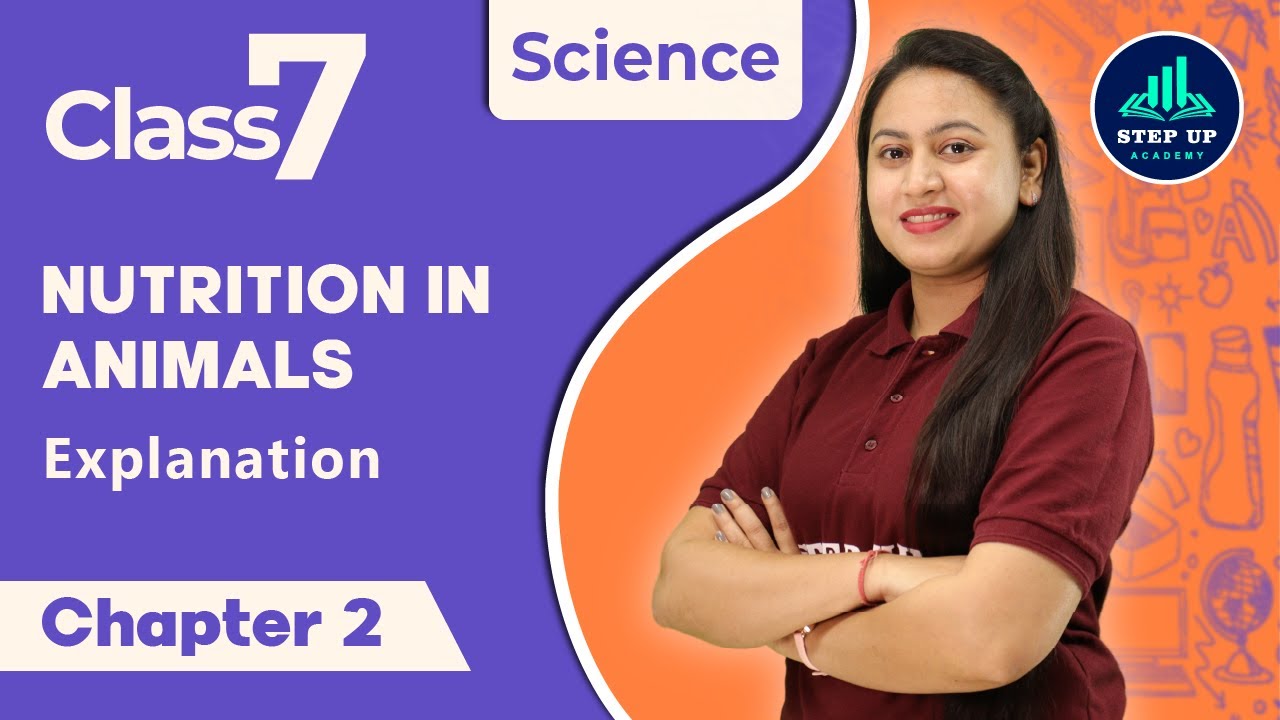 Class - 7th I Science I Nutrition in Animals ( Explanation ) I Chapter ...