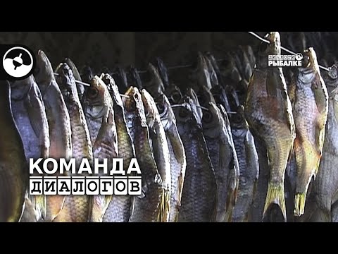 Весенняя рыбалка под Саратовом | Классика