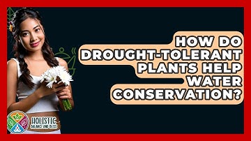 How Do Drought-tolerant Plants Help Water Conservation? - Holistic Balance And Bliss