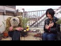 脳内ストリートビュー