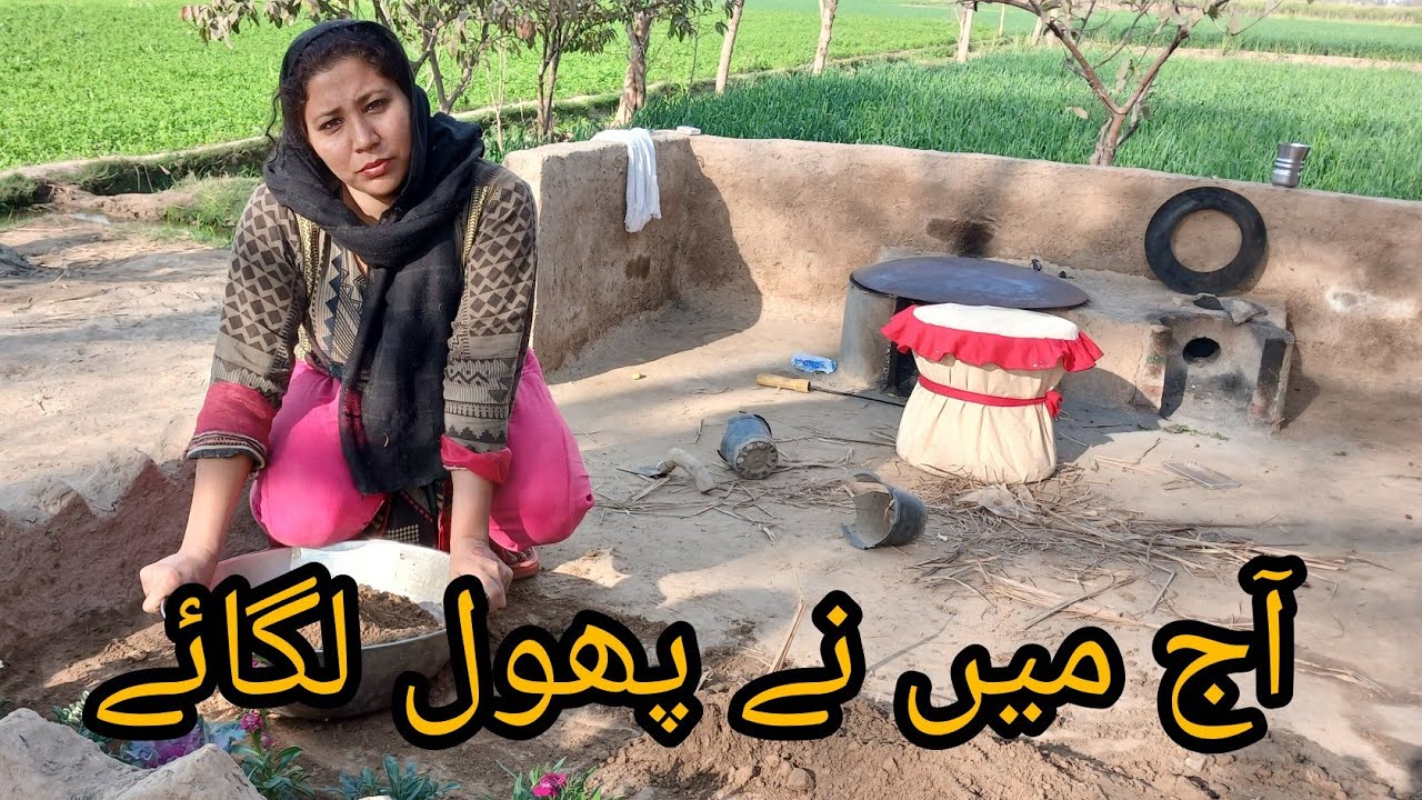 Aj mai ne Phool Lagay 💐|| Pendu Family vlogs || Daily vlogs || 