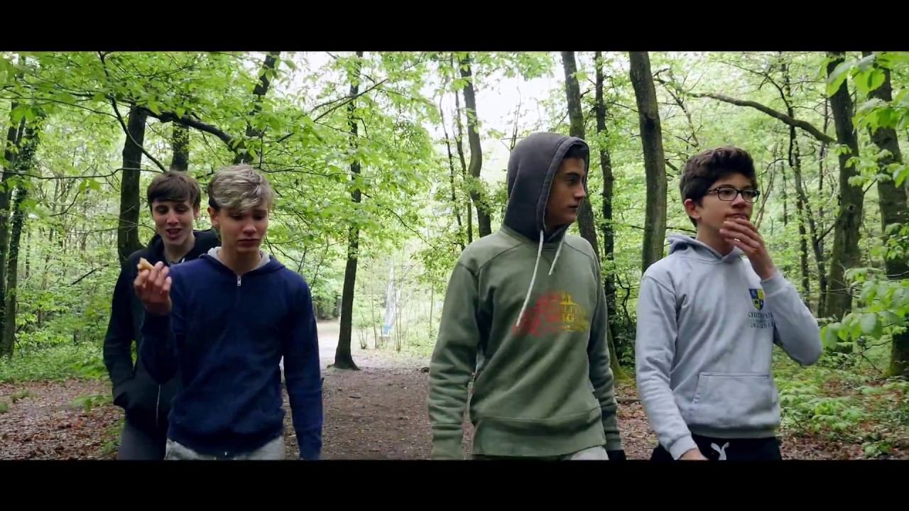 Avenging Forest 2017