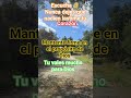 nadien te aparte del propósito de Dios cuida tu corazón
