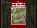 Woman Missing From Dayara Bugyal Trek: दयारा बुग्याल ट्रैकिंग के दौरान लापता हुई महिला | Uttarakhand
