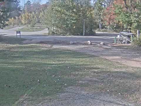 Brown County - Reforestation Camp - Ski Trail Cam