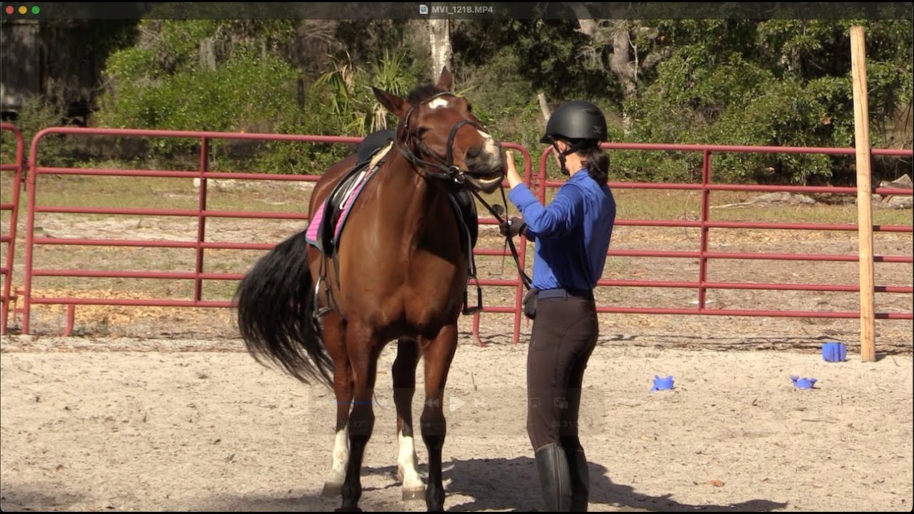 Heavy on the forehand: Groundwork exercise