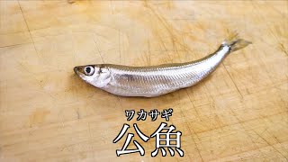 ○○の上にワカサギをのせて食べる!?
