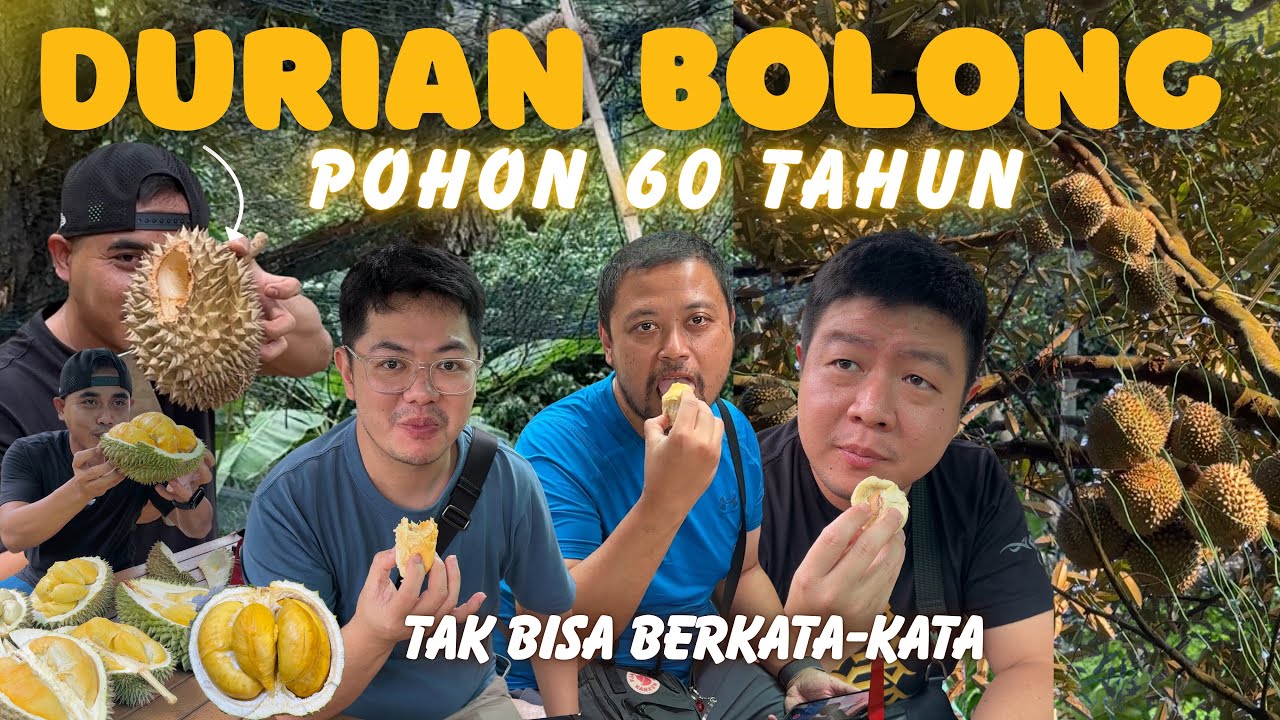 DURIAN UDANG MERAH ⁉️ POKOK TUA 60 TAHUN