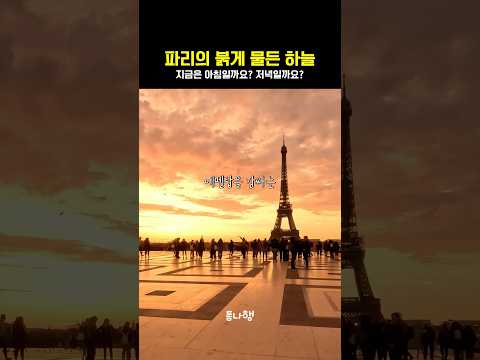 붉게 물든 아침 노을을 보신적 있으신가요?