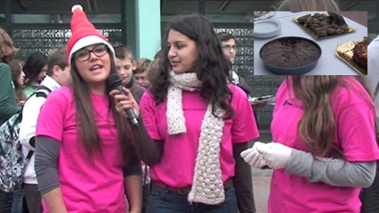 Nadal 2012 IES. Camp de Morvedre