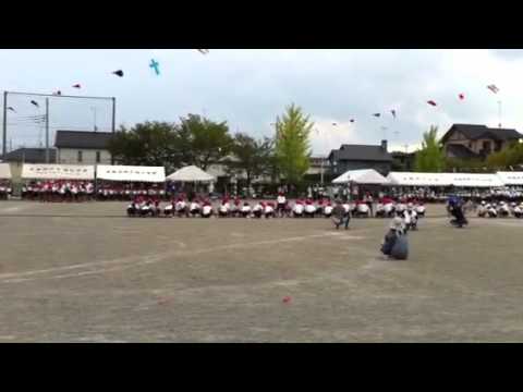 2012 綱引き