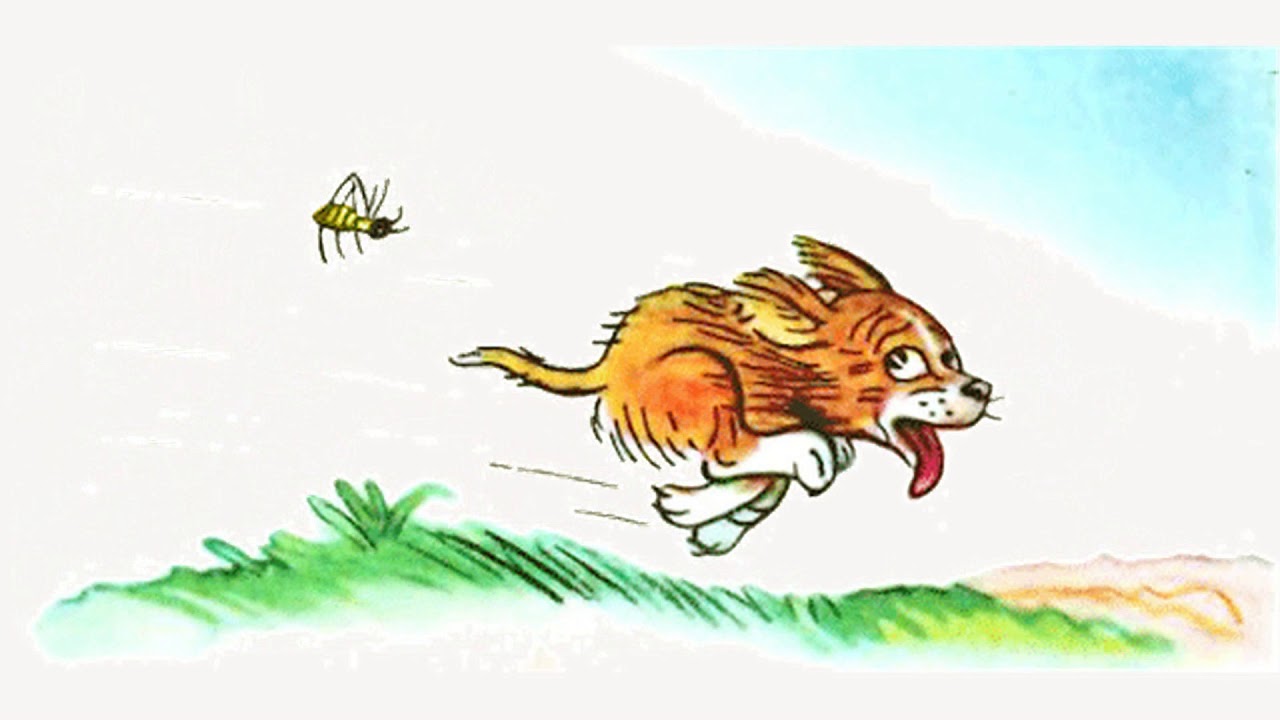 Картинки к сказке кто сказал мяу для детей