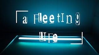 A FLEETING LIFE