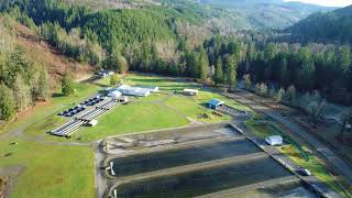 Skookum Creek Hatchery, December 13, 2017
