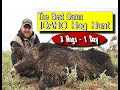 THE BEST DAMN IDAHO HOG HUNT: Full Movie, 2018