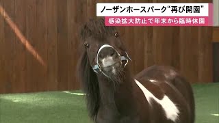 「来てよかった」ノーザンホースパーク約2か月半ぶり開園…ポニー＆家族連れも笑顔 (21/03/10 12:17)