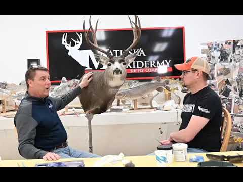 Tattle Tail by Ray Murphy - Matuska Taxidermy Supply Company