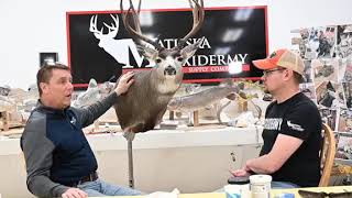 Learn Taxidermy: Mule Deer Shoulder Mount Part 4