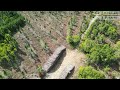 Kitpu Na Eagle Song | Drone footage of clearcutting on Hunter's Mountain