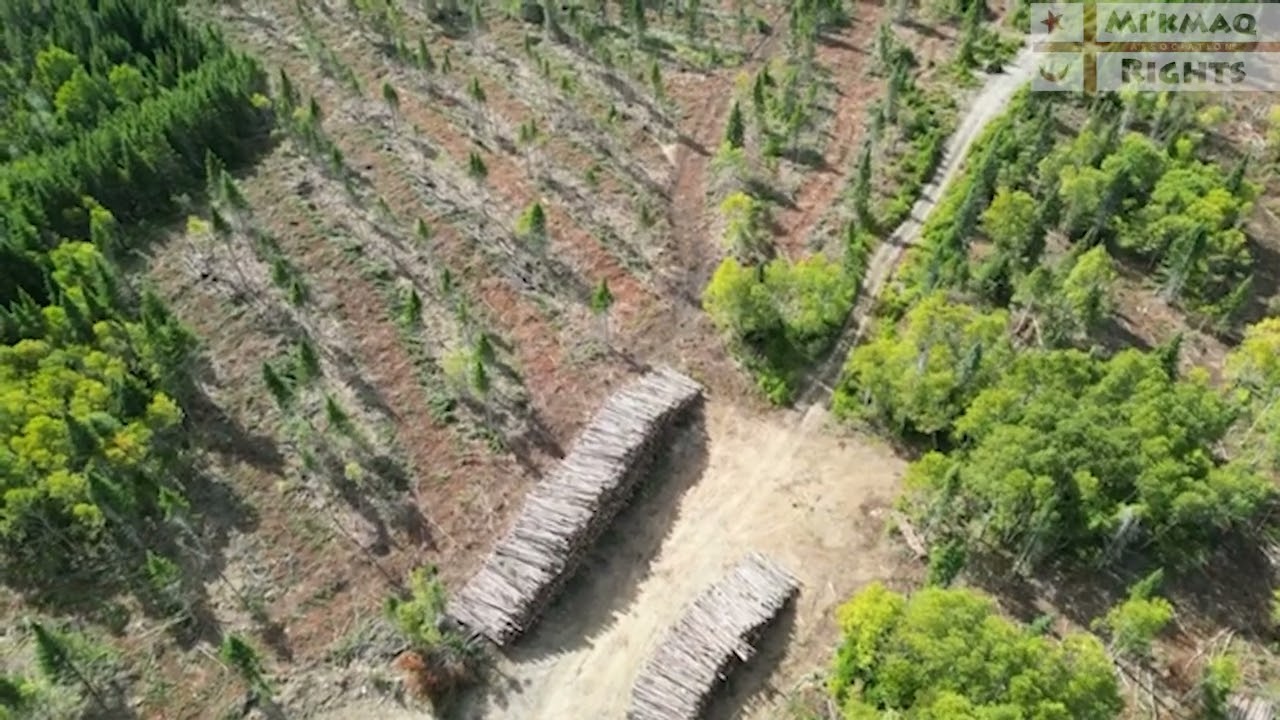 Kitpu Na Eagle Song | Drone footage of clearcutting on Hunter's Mountain