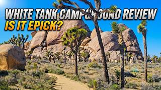 White Tank Campground Review in Joshua Tree National Park