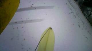 Gemini on Ski - OnBoard