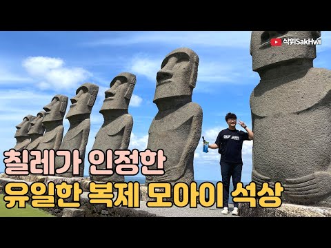 칠레가 인정한 전 세계 유일 복제 모아이 석상 l 미야자키(3)