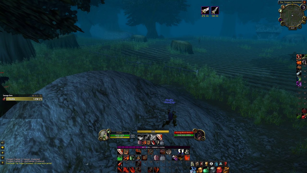 Wow Classic Hardcore Rogue FinalHC Level 38 DEATH DELETE Wow Classic Hardcore Rogue FinalHC Level 38 DEATH DELETE
