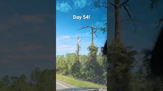 Day 54!