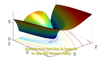 Cuckoo Search Algorithm -- Numerical Simulation