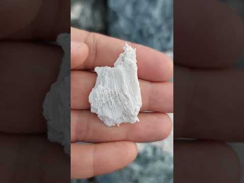    تركيب الشعاب المرجانية يشبه عظام الإنسان   