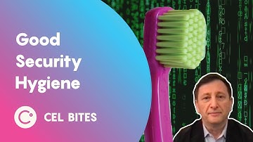 Keeping Security Hygiene to Protect your Assets - CEL Bites