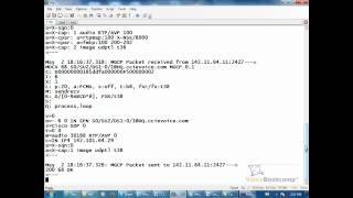 Demo Lab 7 Section 3 4 MGCP Troubleshooting