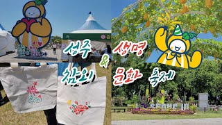 2024 성주 참외 & 생명 문화 축제 (5월 19일 일요일까지)